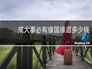 成大事必有缘国缘酒多少钱