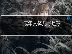成年人体几号足球