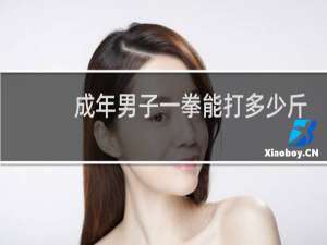 成年男子一拳能打多少斤