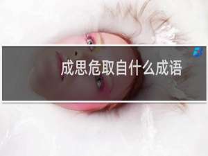 成思危取自什么成语