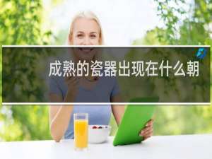 成熟的瓷器出现在什么朝代