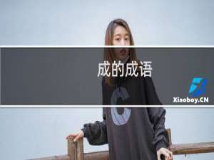 成的成语