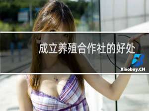 成立养殖合作社的好处