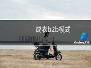 成衣b2b模式