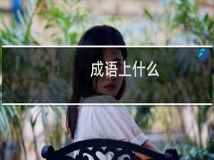 成语上什么