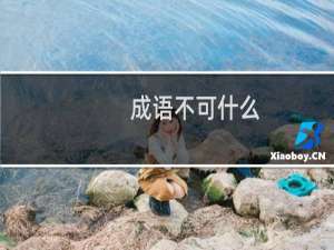 成语不可什么