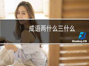 成语两什么三什么