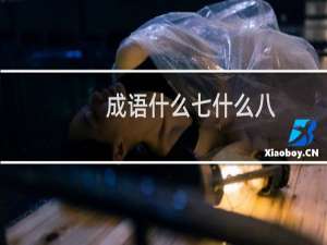 成语什么七什么八