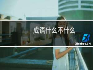 成语什么不什么