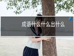 成语什么什么出什么