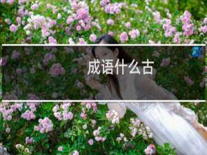 成语什么古