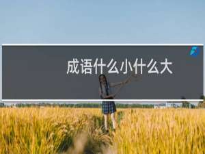 成语什么小什么大