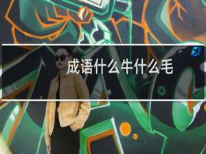 成语什么牛什么毛