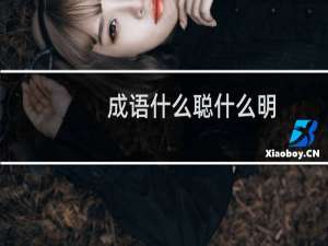成语什么聪什么明