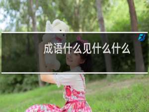 成语什么见什么什么