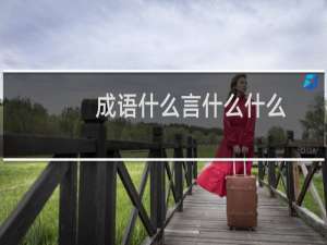成语什么言什么什么