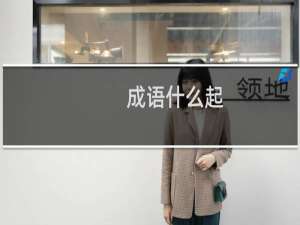 成语什么起