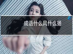 成语什么风什么扬