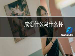 成语什么鸟什么怀