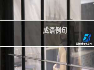成语例句