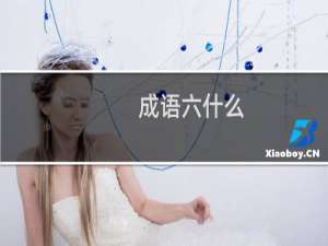 成语六什么