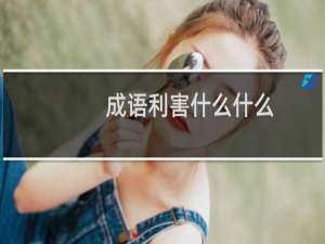 成语利害什么什么