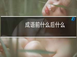 成语前什么后什么
