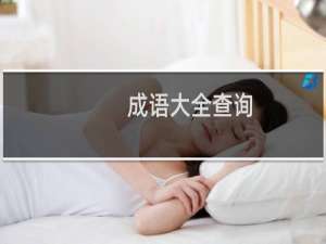 成语大全查询