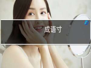 成语寸