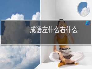 成语左什么右什么