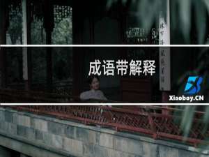 成语带解释