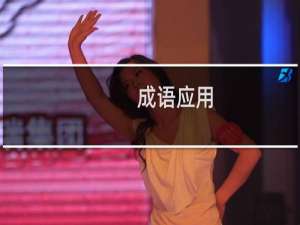 成语应用