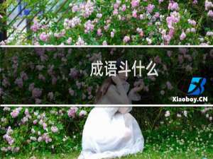 成语斗什么