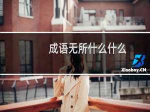 成语无所什么什么