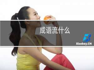 成语流什么