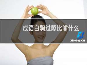 成语白驹过隙比喻什么