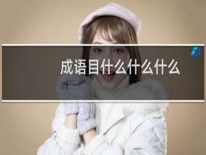 成语目什么什么什么