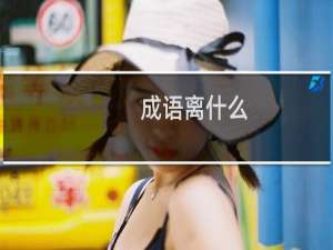 成语离什么
