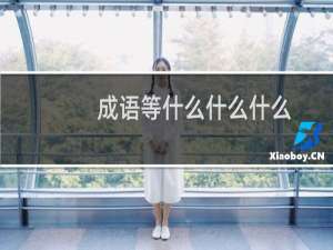 成语等什么什么什么