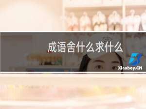 成语舍什么求什么
