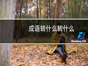 成语转什么转什么