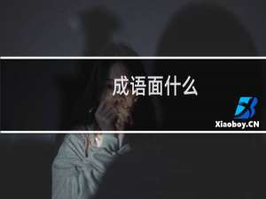 成语面什么
