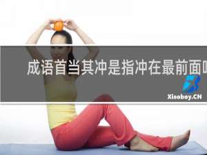 成语首当其冲是指冲在最前面吗 成语首当其冲解释