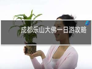 成都乐山大佛一日游攻略