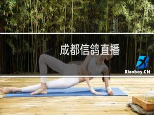 成都信鸽直播