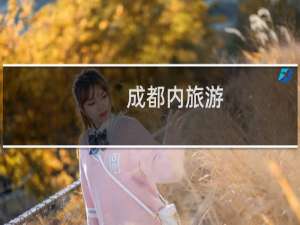 成都内旅游