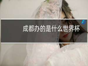 成都办的是什么世界杯