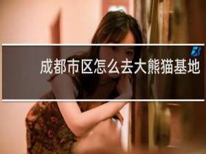 成都市区怎么去大熊猫基地