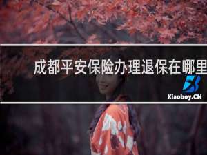 成都平安保险办理退保在哪里