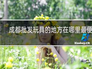 成都批发玩具的地方在哪里最便宜